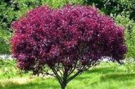 種植空間的構(gòu)成類(lèi)型
