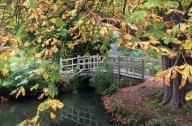 最美花園景觀設(shè)計(jì)：英國(guó)??？怂共锘▓@
