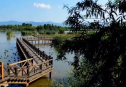 北京最大最美的濕地公園景觀(guān)：野鴨湖國(guó)家濕地公園
