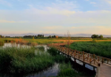 北京最大最美的濕地公園景觀(guān)：野鴨湖國(guó)家濕地公園