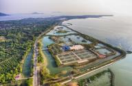 杵山生態(tài)公園：長(zhǎng)三角地區(qū)最專業(yè)的垂釣樂(lè)園