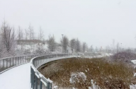 多倫多Corktown公園景觀設(shè)計(jì)賞析