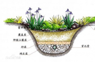什么是雨水花園？雨水花園和普通花園有什么區(qū)別？